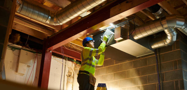 Best Air Duct Mold Removal  in Newcomerstown, OH